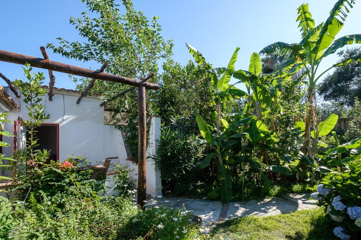 La Rosa Dei Venti Aparthotel Procida Exterior photo