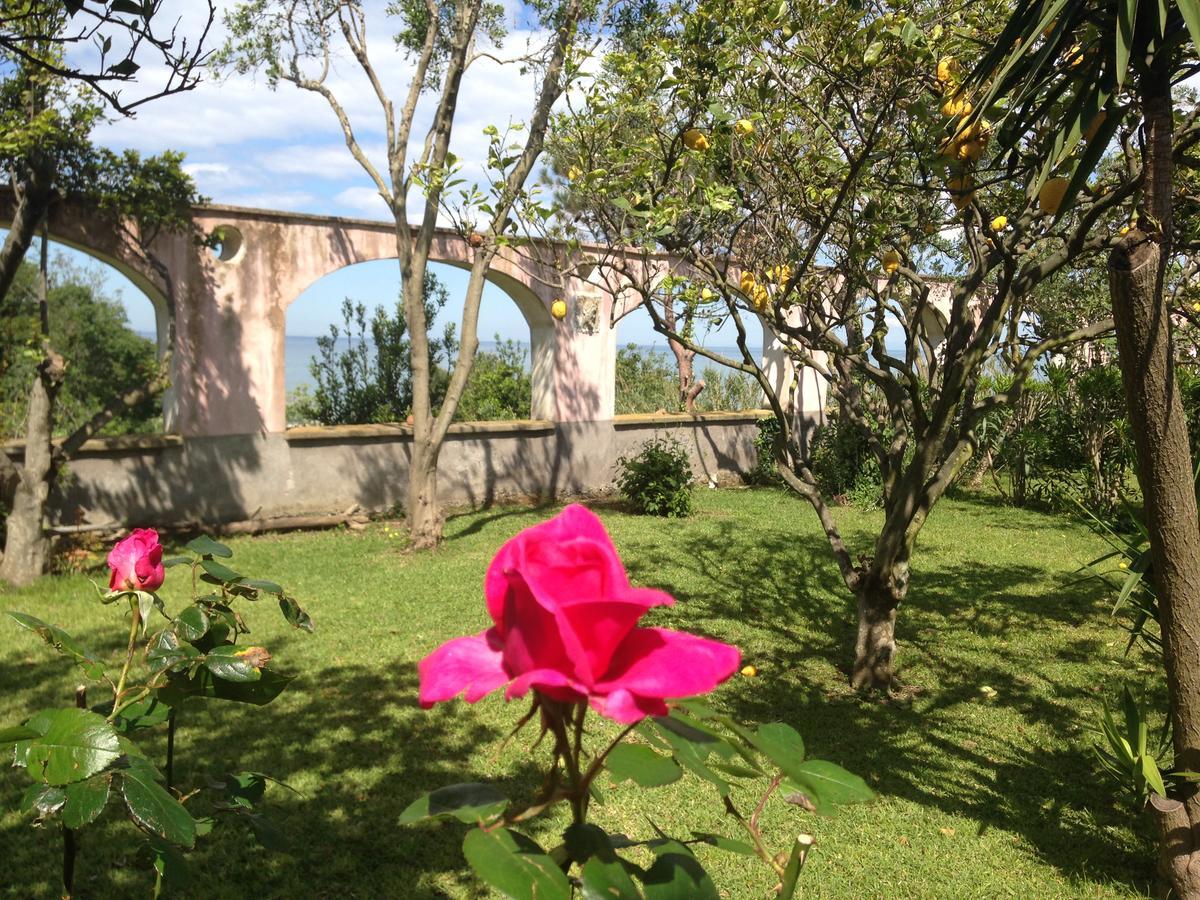 La Rosa Dei Venti Aparthotel Procida Exterior photo